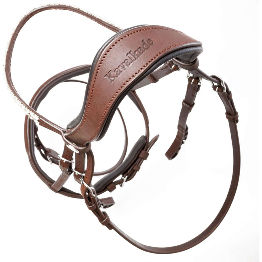 Kavalkade Bridle Everness Brown