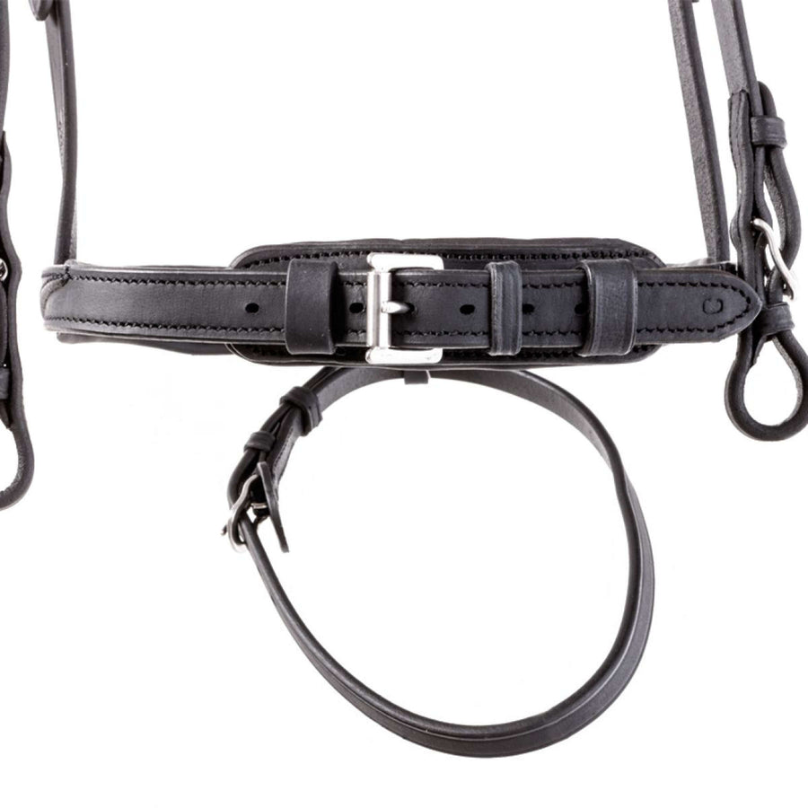 Kavalkade Bridle Everness Black