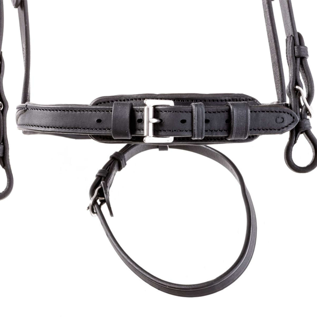 Kavalkade Bridle Everness Black