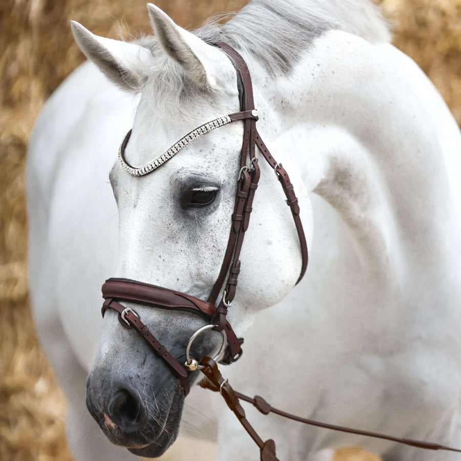 Kavalkade Bridle Everness Brown