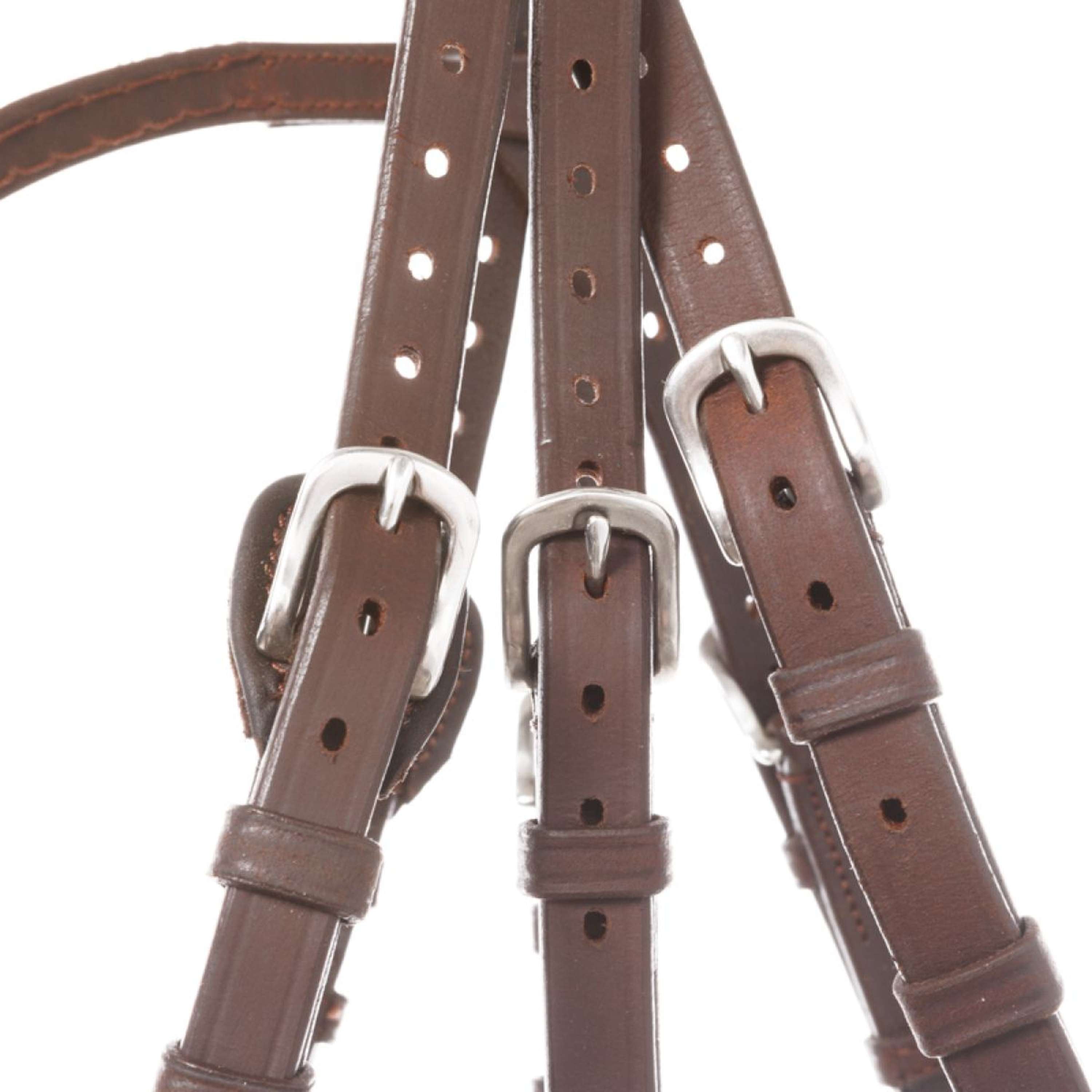 Kavalkade Bridle Everlyn English Brown