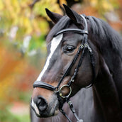 Kavalkade Bridle Proline-Anna Brown