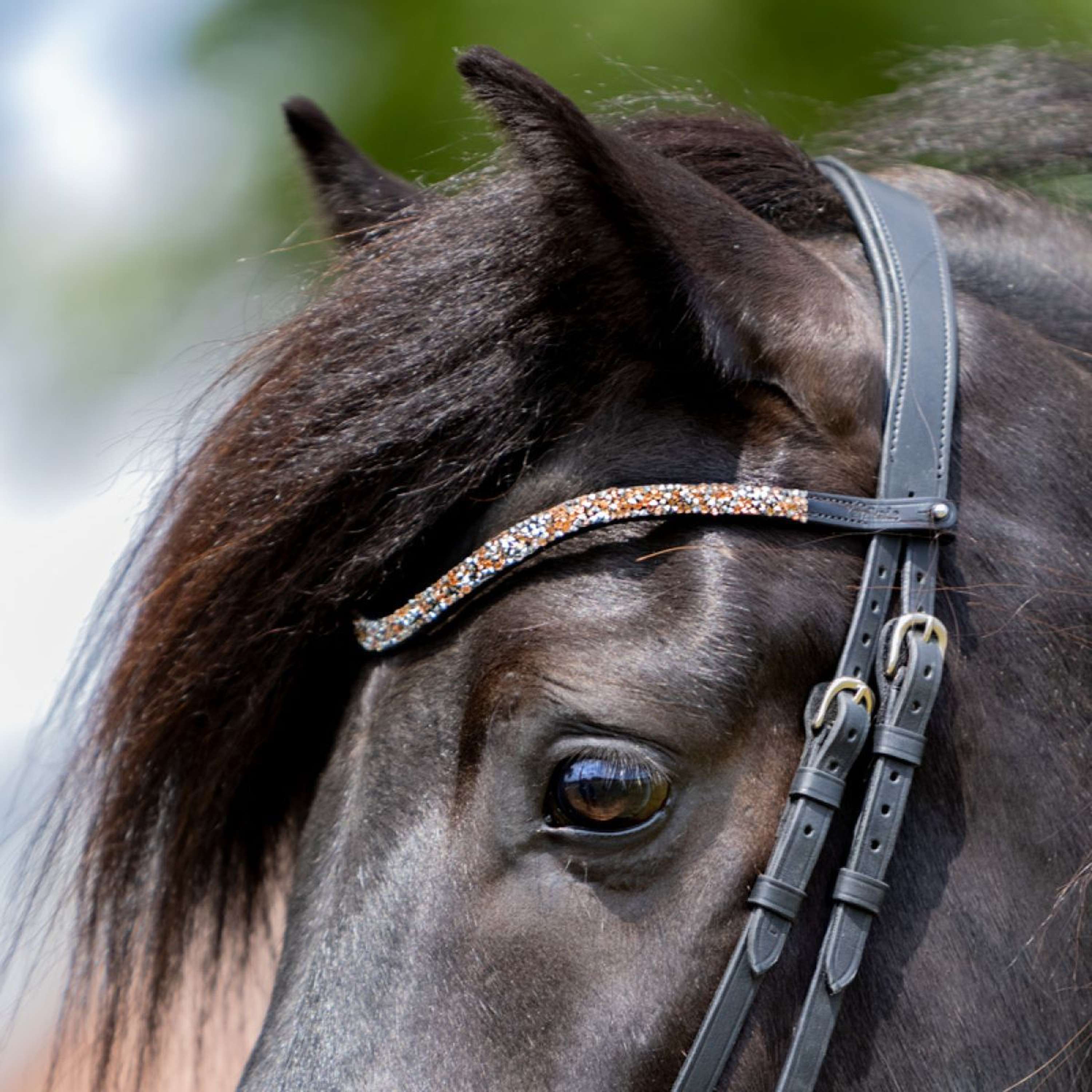 Kavalkade Browband Button Candy