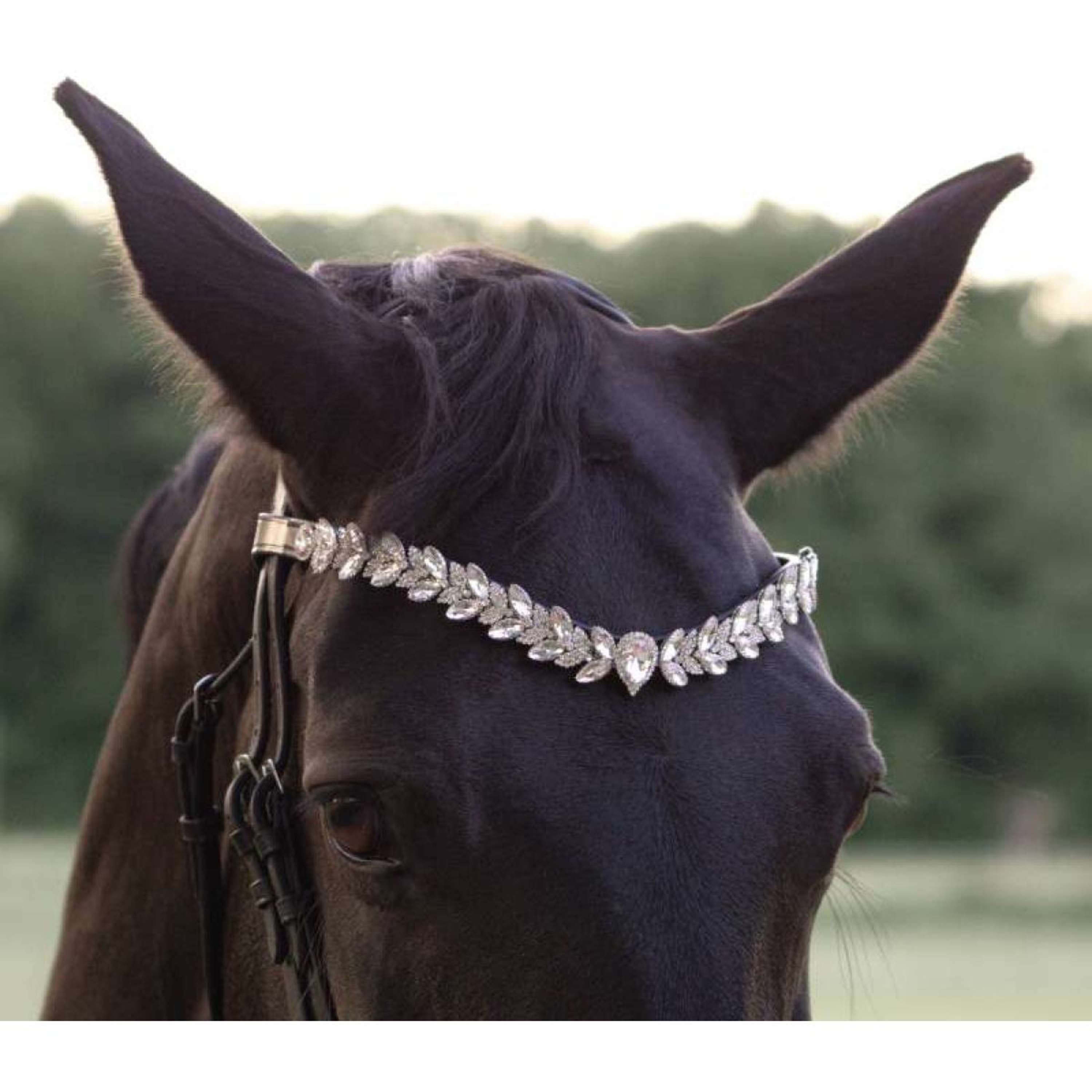 Kavalkade Browband Exquisite Black/White