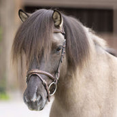 Kavalkade Browband Aradis-Fleginn Black