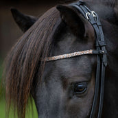 Kavalkade Browband Ferskja Black