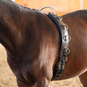 Kavalkade Lunging Girth Frame Black