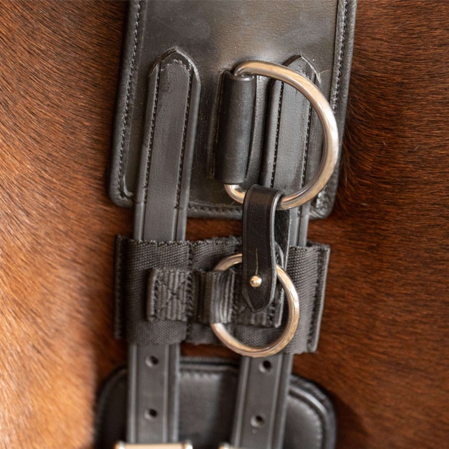 Kavalkade Lunging Girth Frame Black