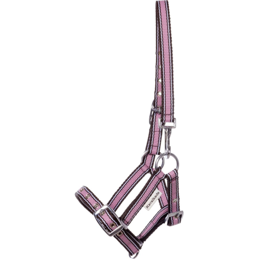 Kavalkade Foal and Yearling halter Pink
