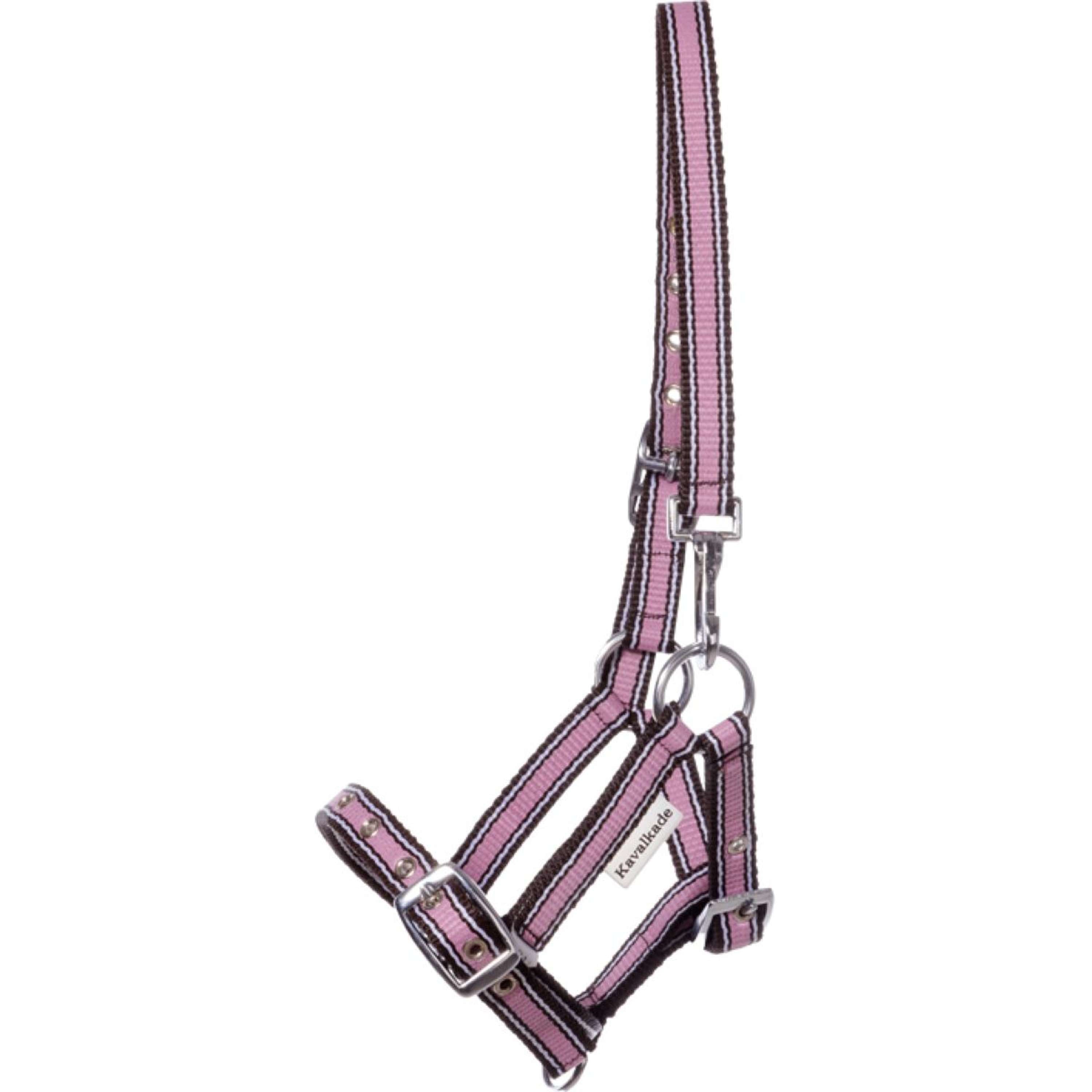 Kavalkade Halter Foal/Yearling Pink/Brown/White