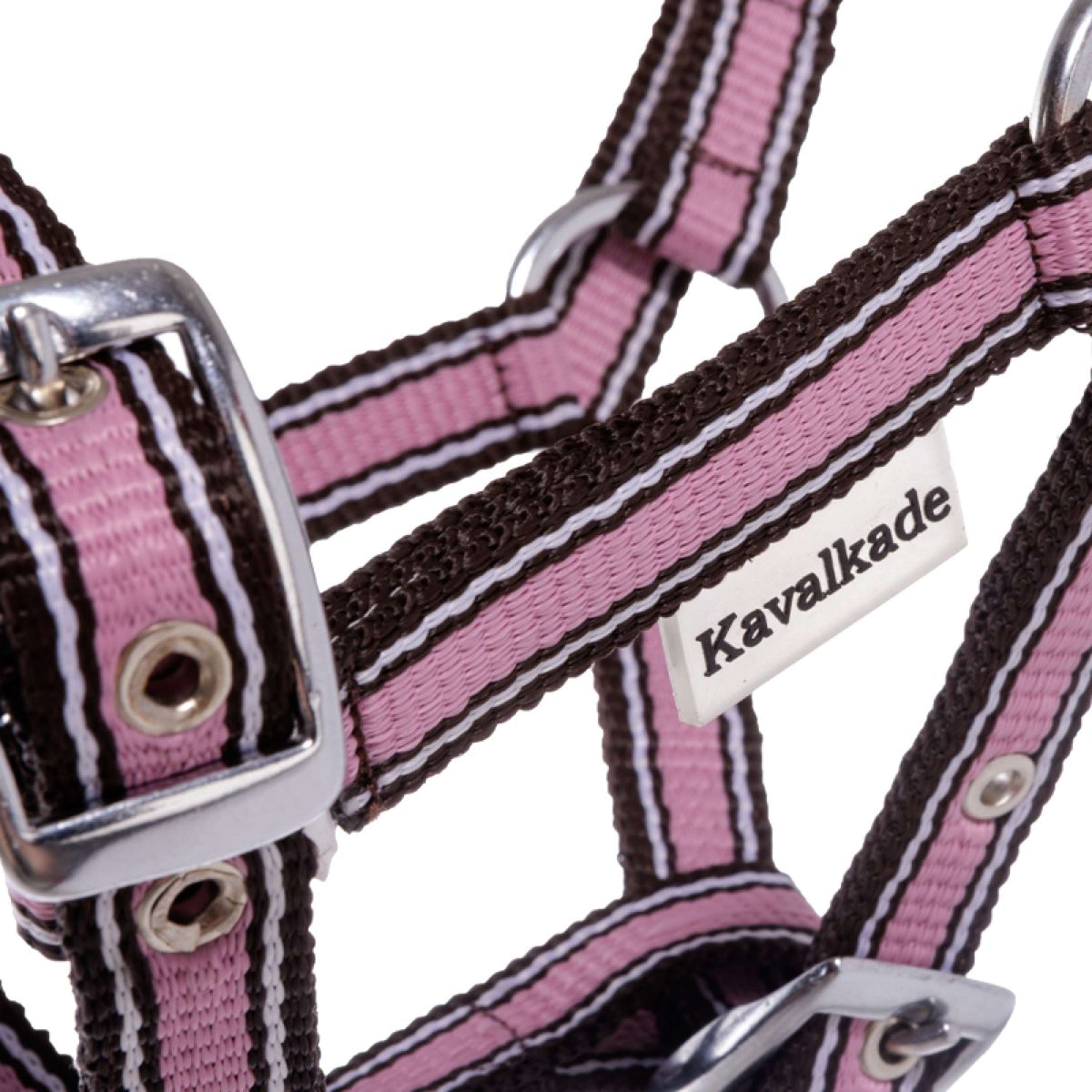 Kavalkade Foal and Yearling halter Pink