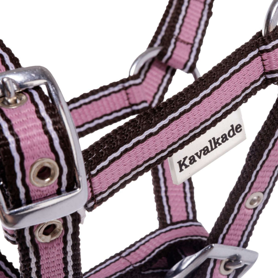 Kavalkade Halter Foal/Yearling Pink/Brown/White