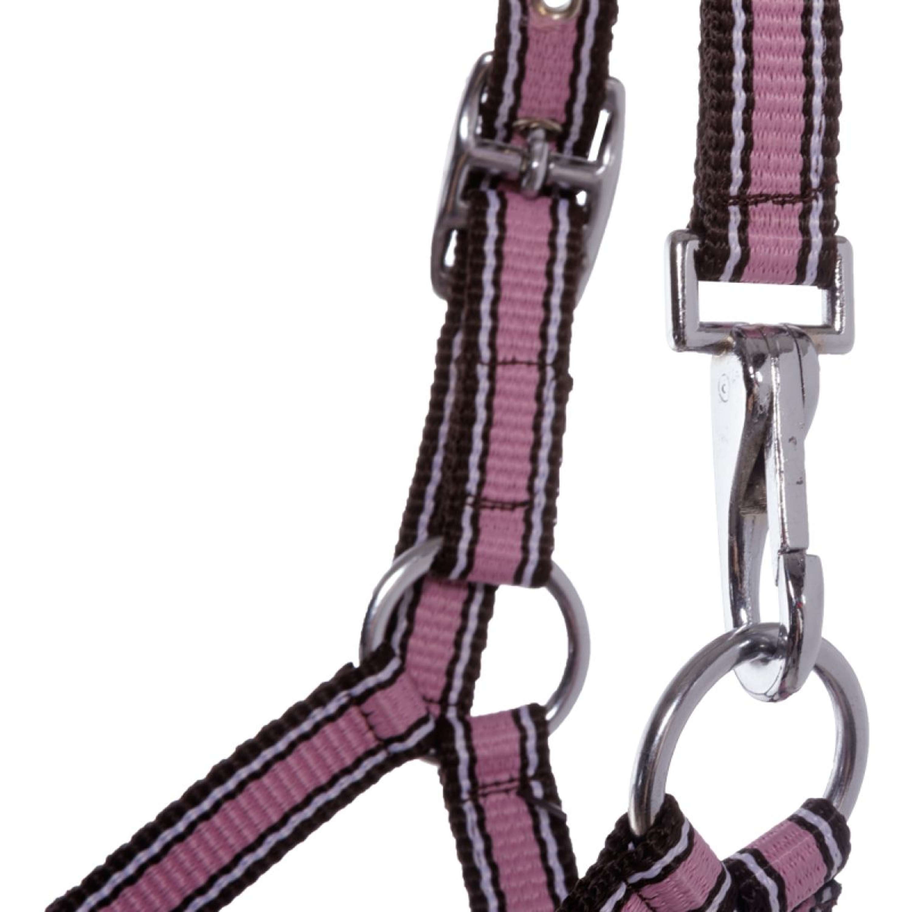 Kavalkade Foal and Yearling halter Pink