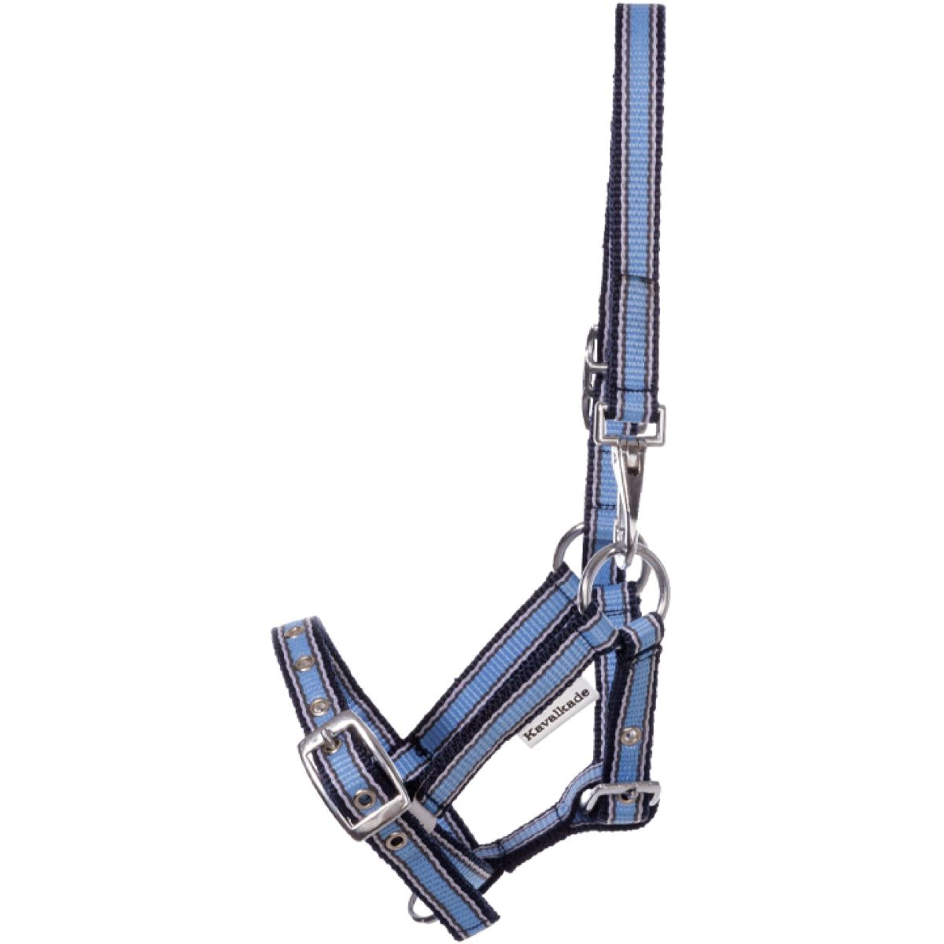 Kavalkade Halter Foal/Yearling Light Blue/Navy/White