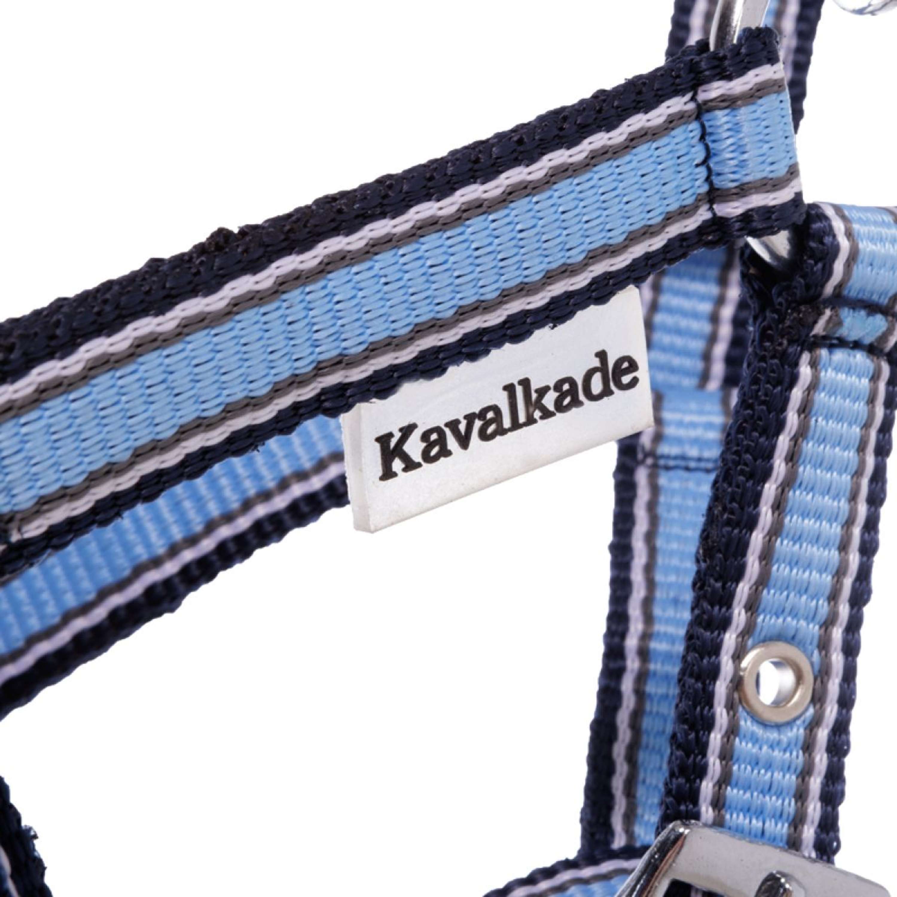 Kavalkade Halter Foal/Yearling Light Blue/Navy/White