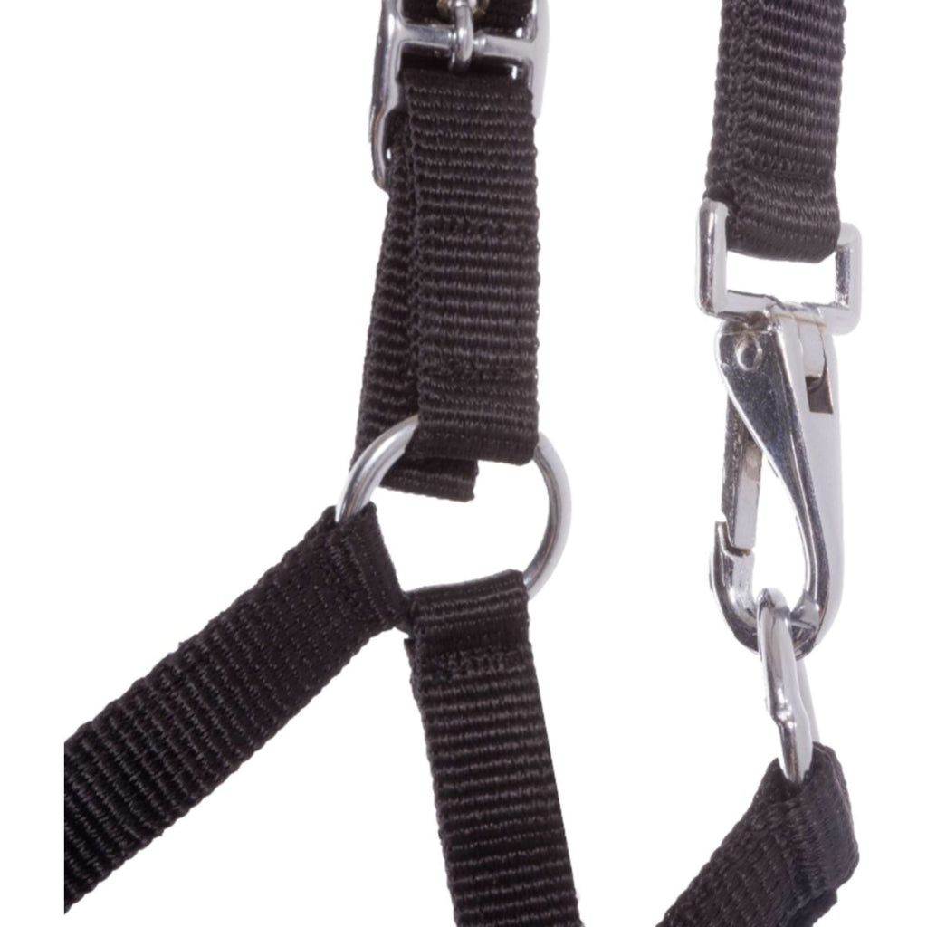 Kavalkade Foal and Yearling halter Blue