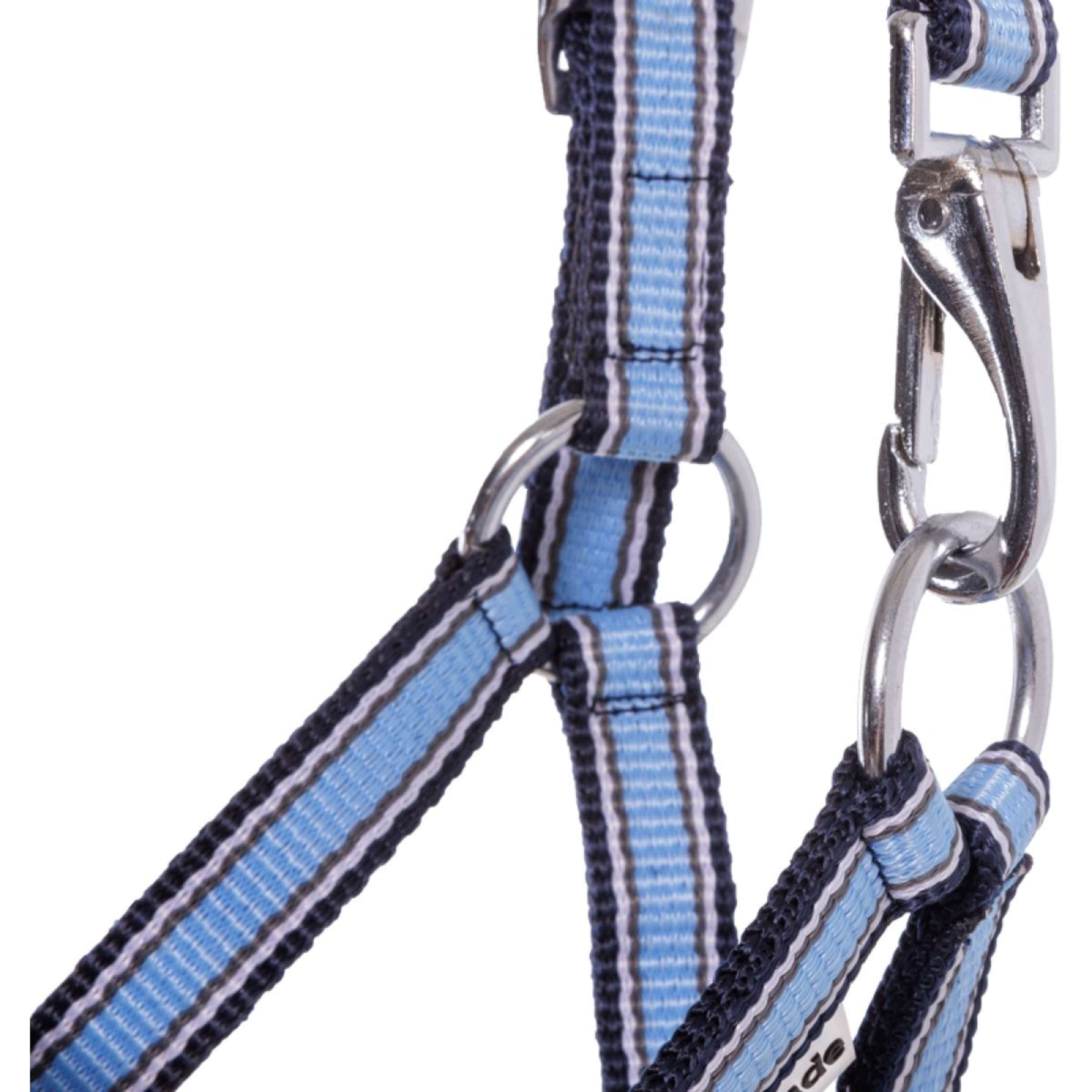 Kavalkade Halter Foal/Yearling Light Blue/Navy/White