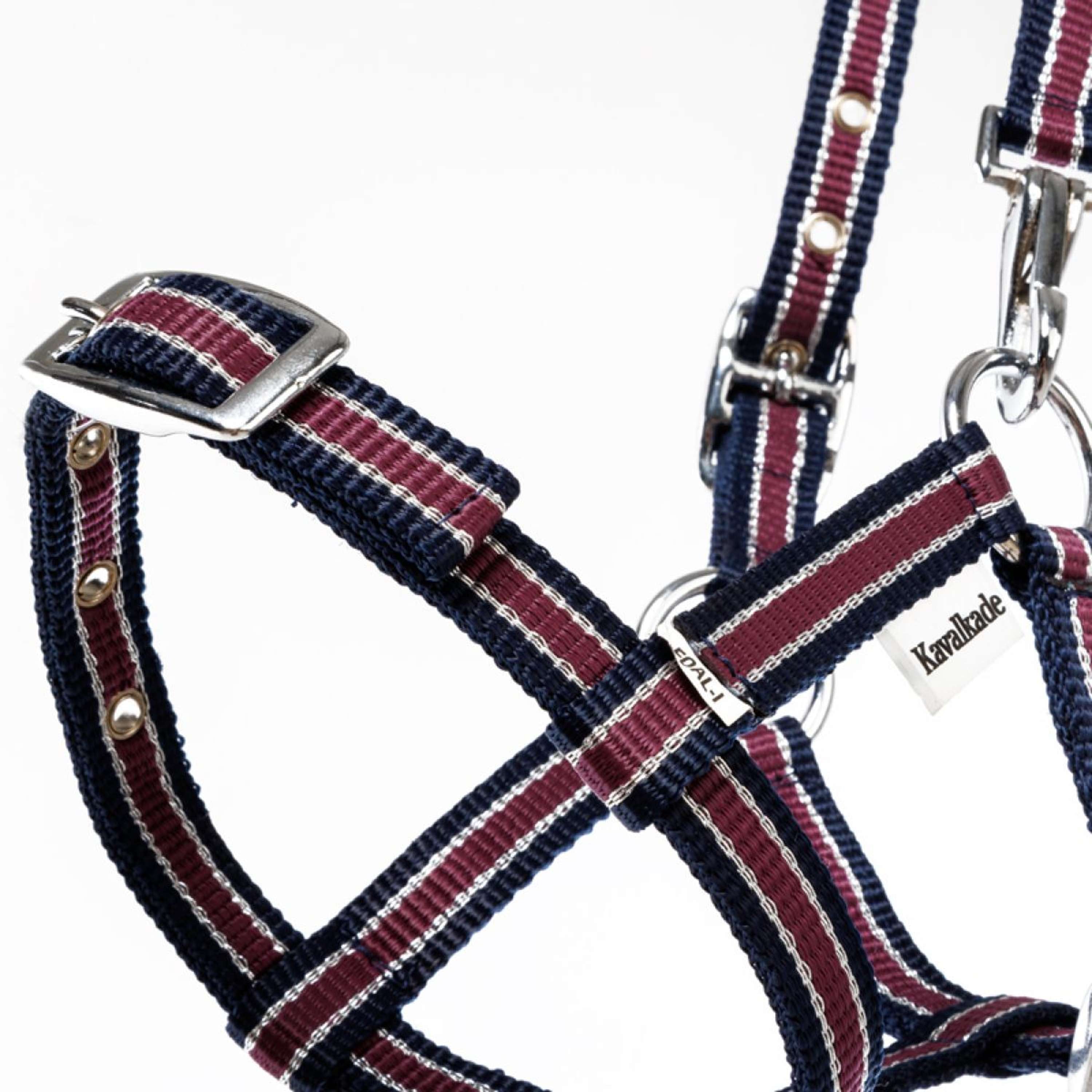 Kavalkade Halter Foal/Yearling Navy/Bordeaux/Silver