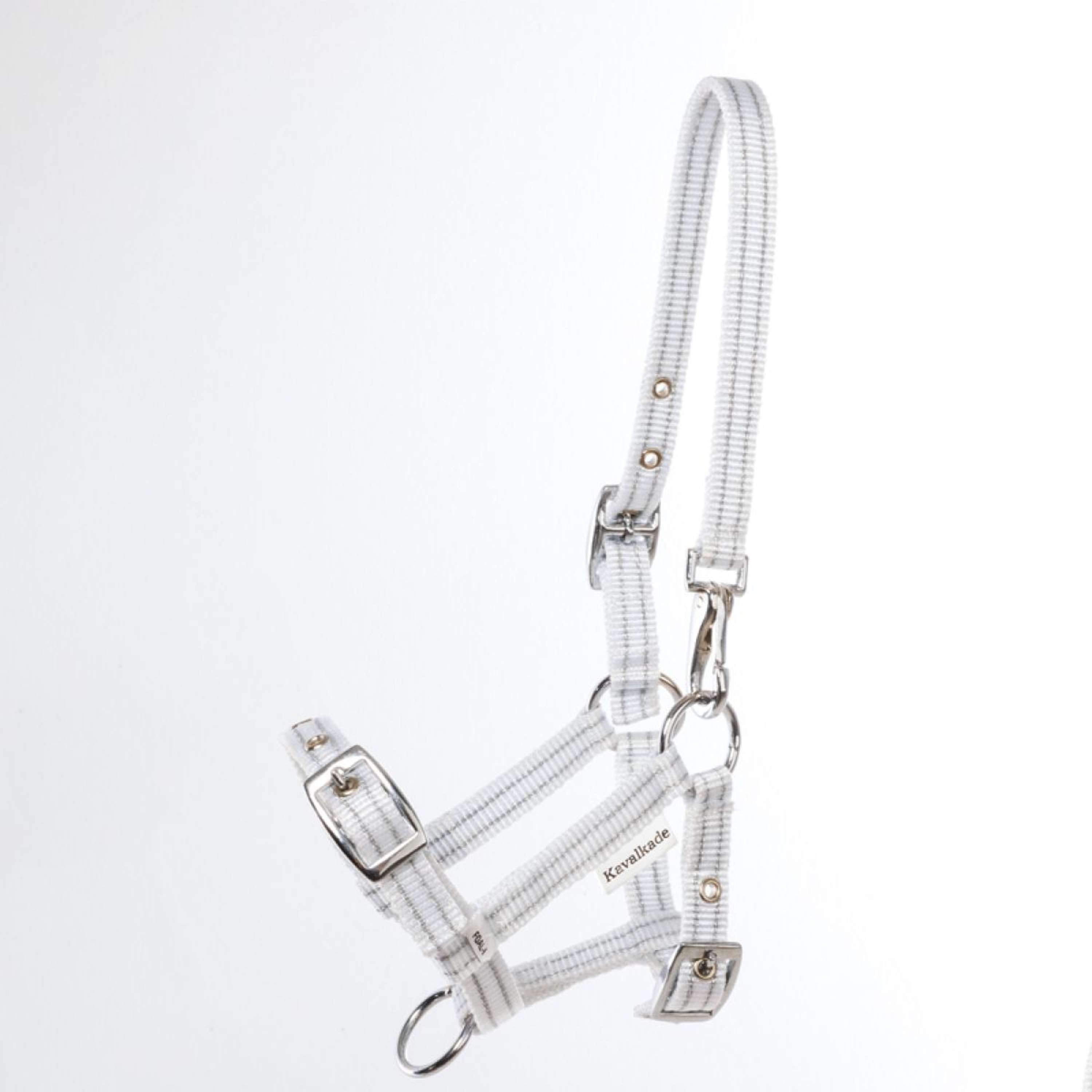 Kavalkade Halter Foal/Yearling White/Silver