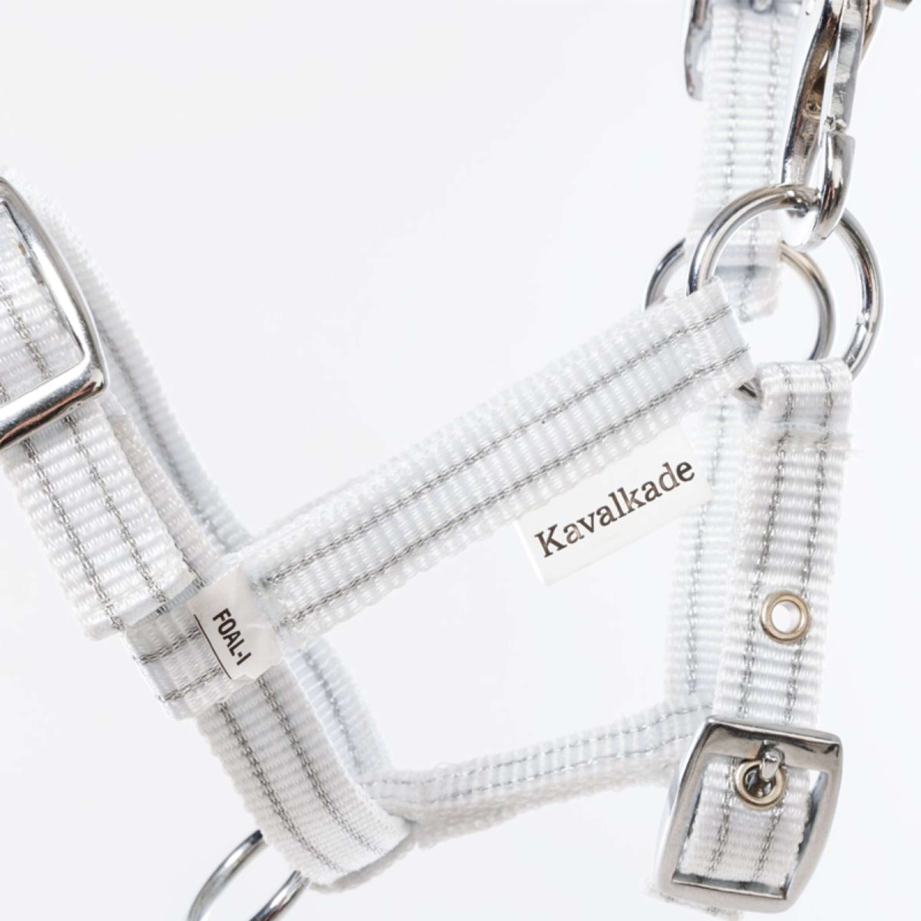 Kavalkade Halter Foal/Yearling White/Silver