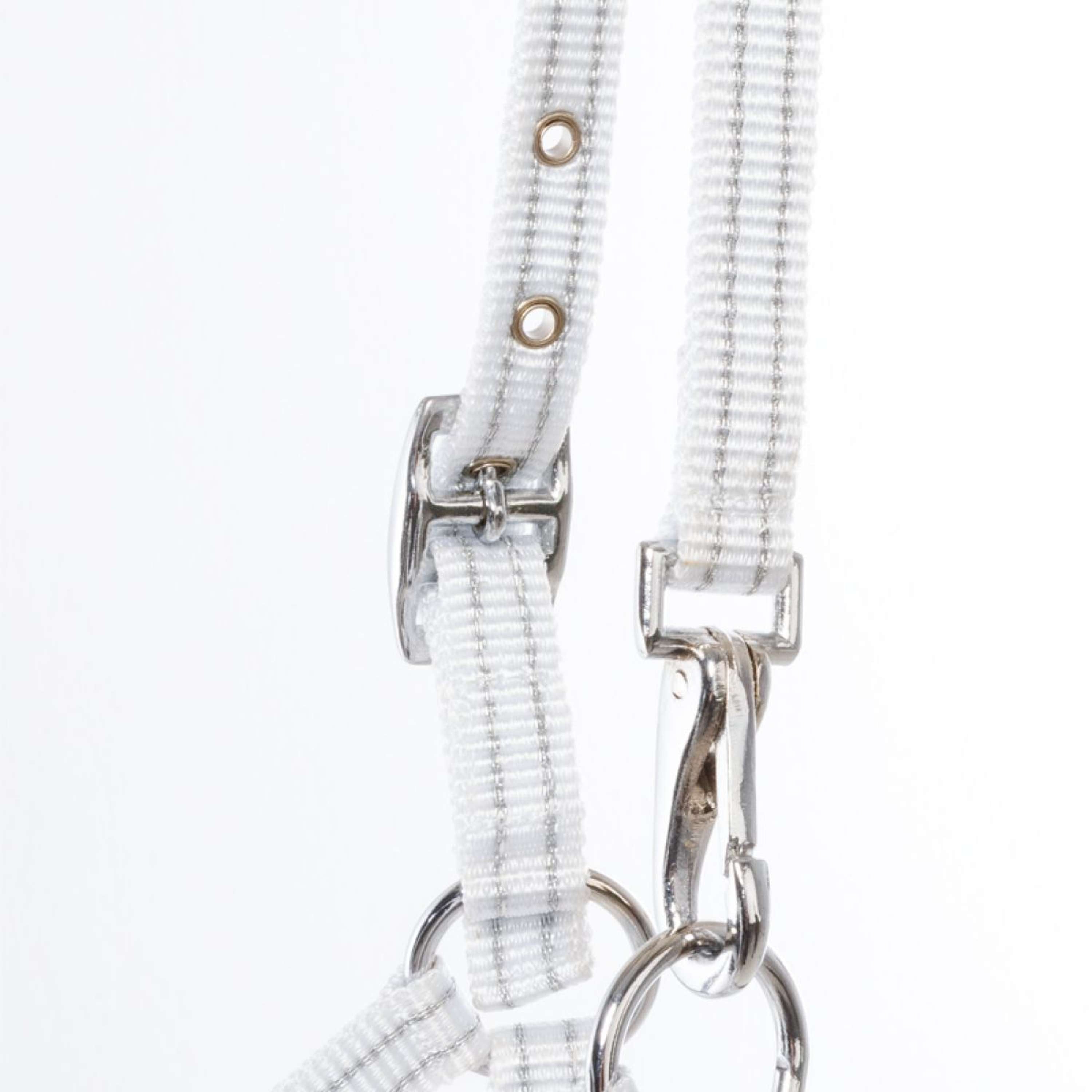 Kavalkade Halter Foal/Yearling White/Silver