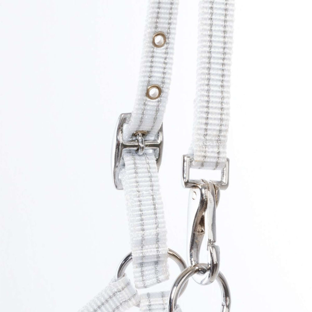 Kavalkade Halter Foal/Yearling White/Silver