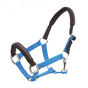Kavalkade Head Collar KavalLastic Turquoise