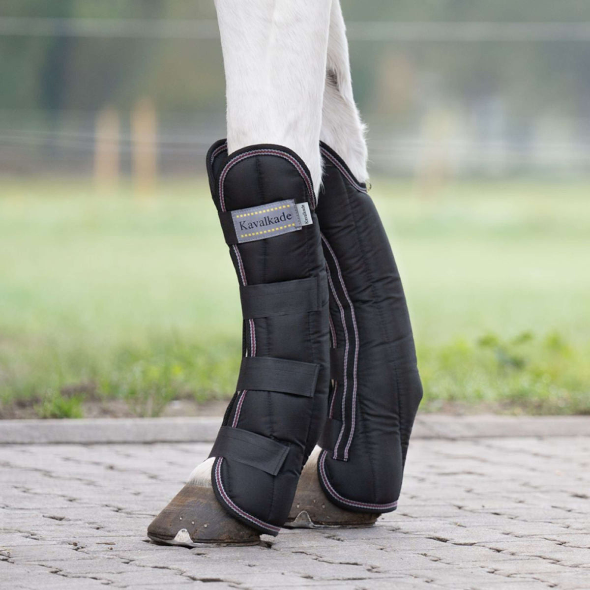 Kavalkade Transport Protectors Black