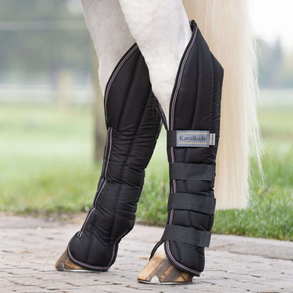 Kavalkade Transport Protectors Black