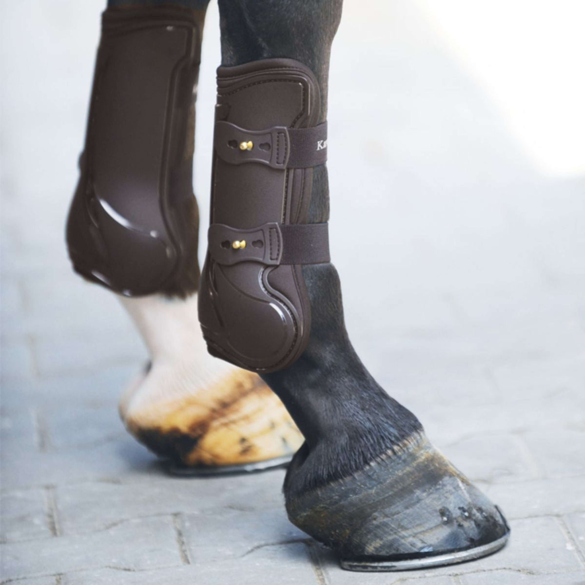 Kavalkade Tendon Boots Compete Brown