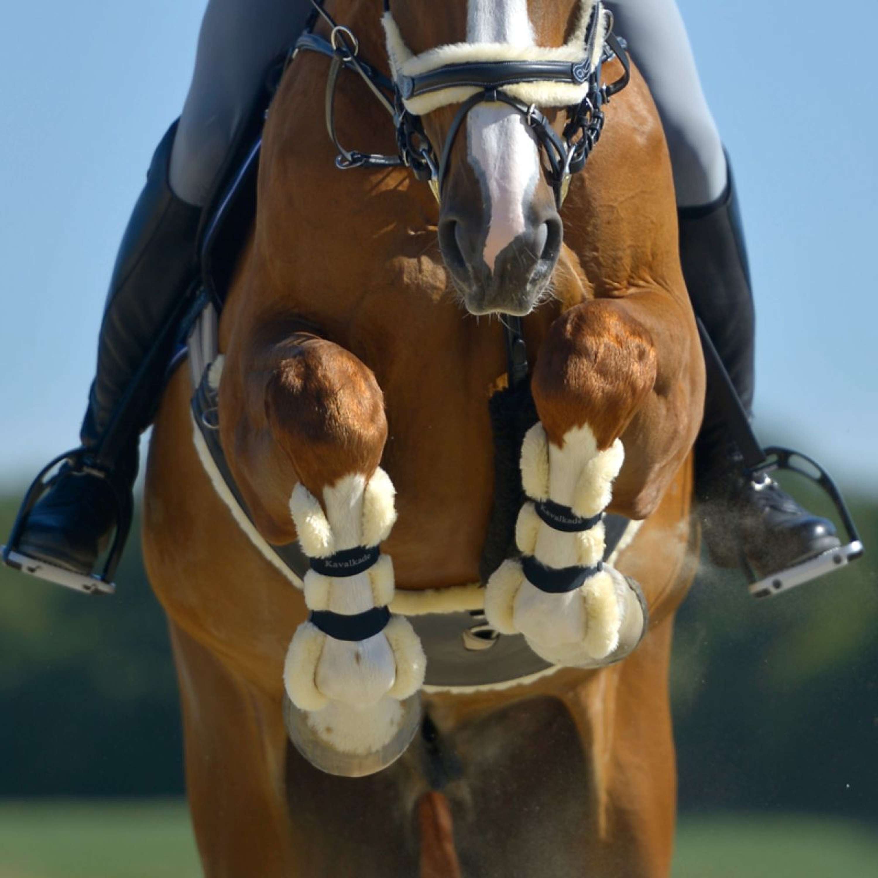 Kavalkade Tendon Boots Compete 'n Wool Black