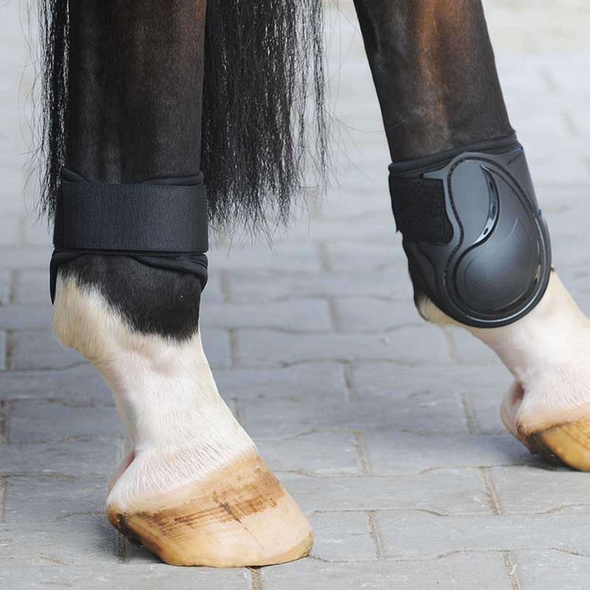 Kavalkade Fetlock Boots Compete Black M Black