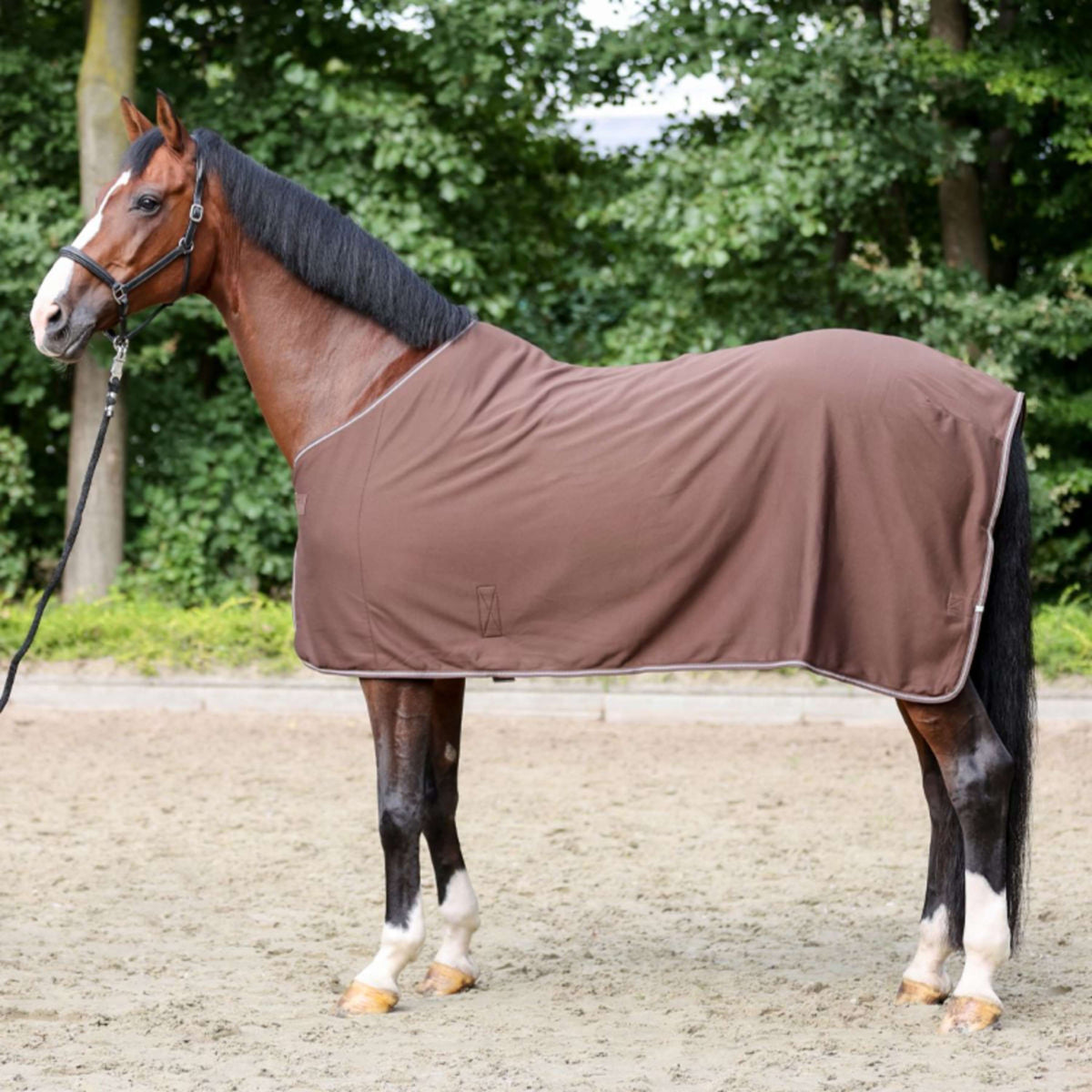 Kavalkade Jersey Fleece Rug Elegance Brown