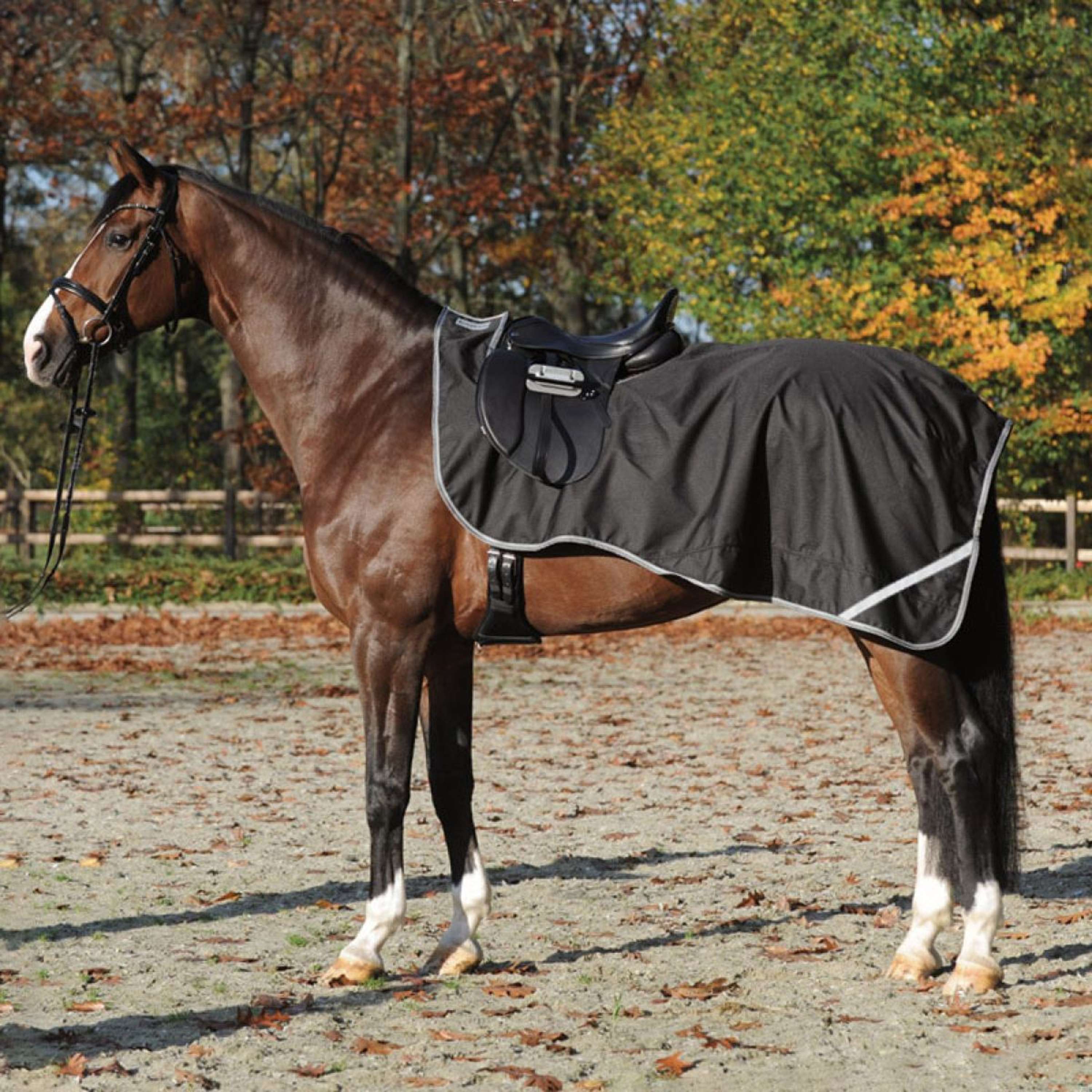 Kavalkade Exercise Rug Outdoor Black