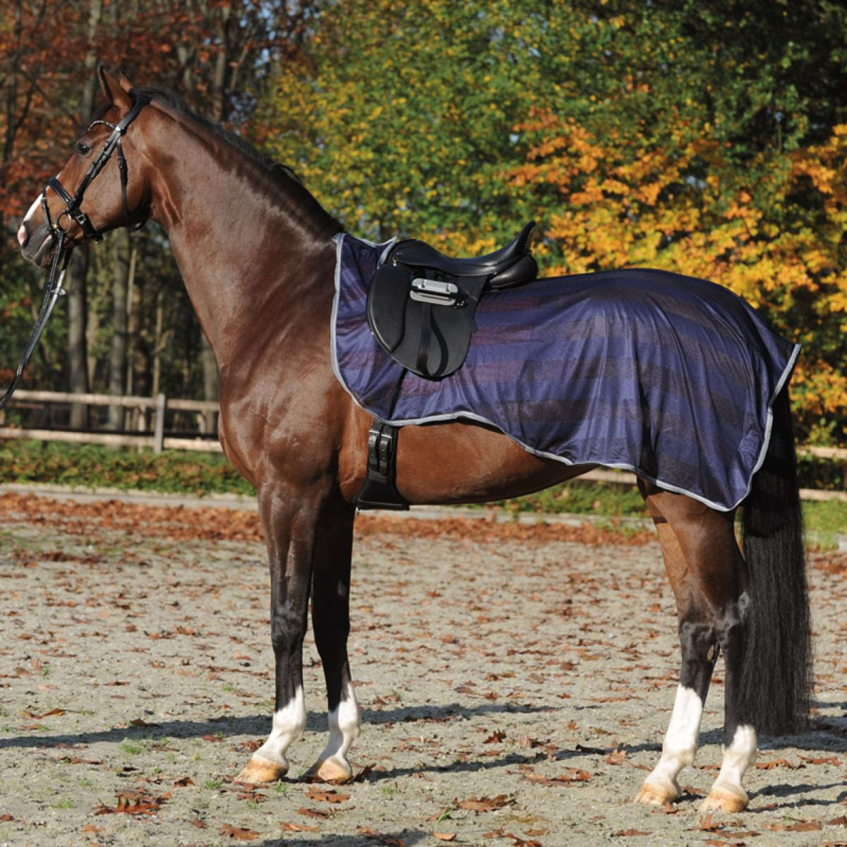 Kavalkade Exercise Rug Fly Navy/Grey
