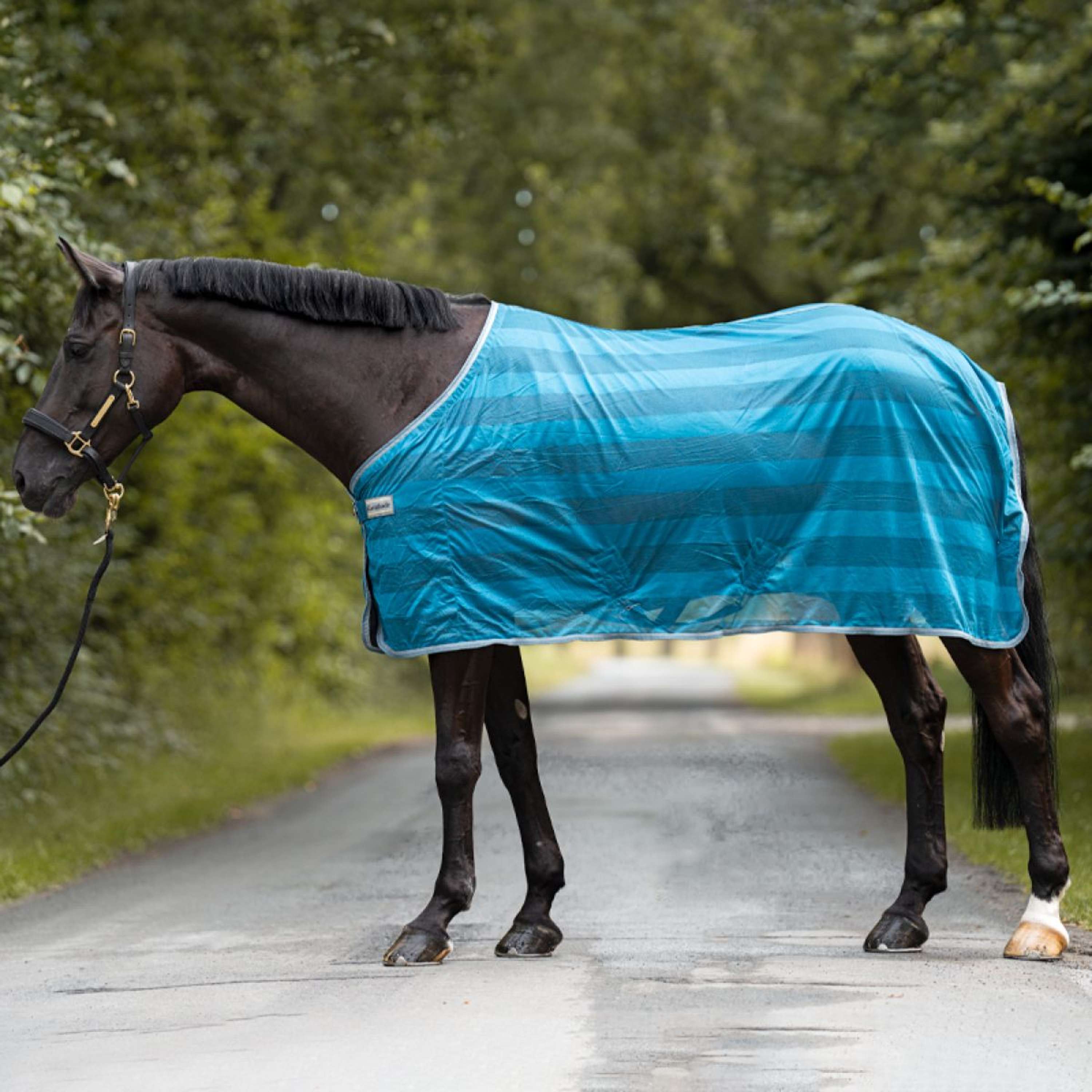 Kavalkade Fly Rug Stripe Petrol