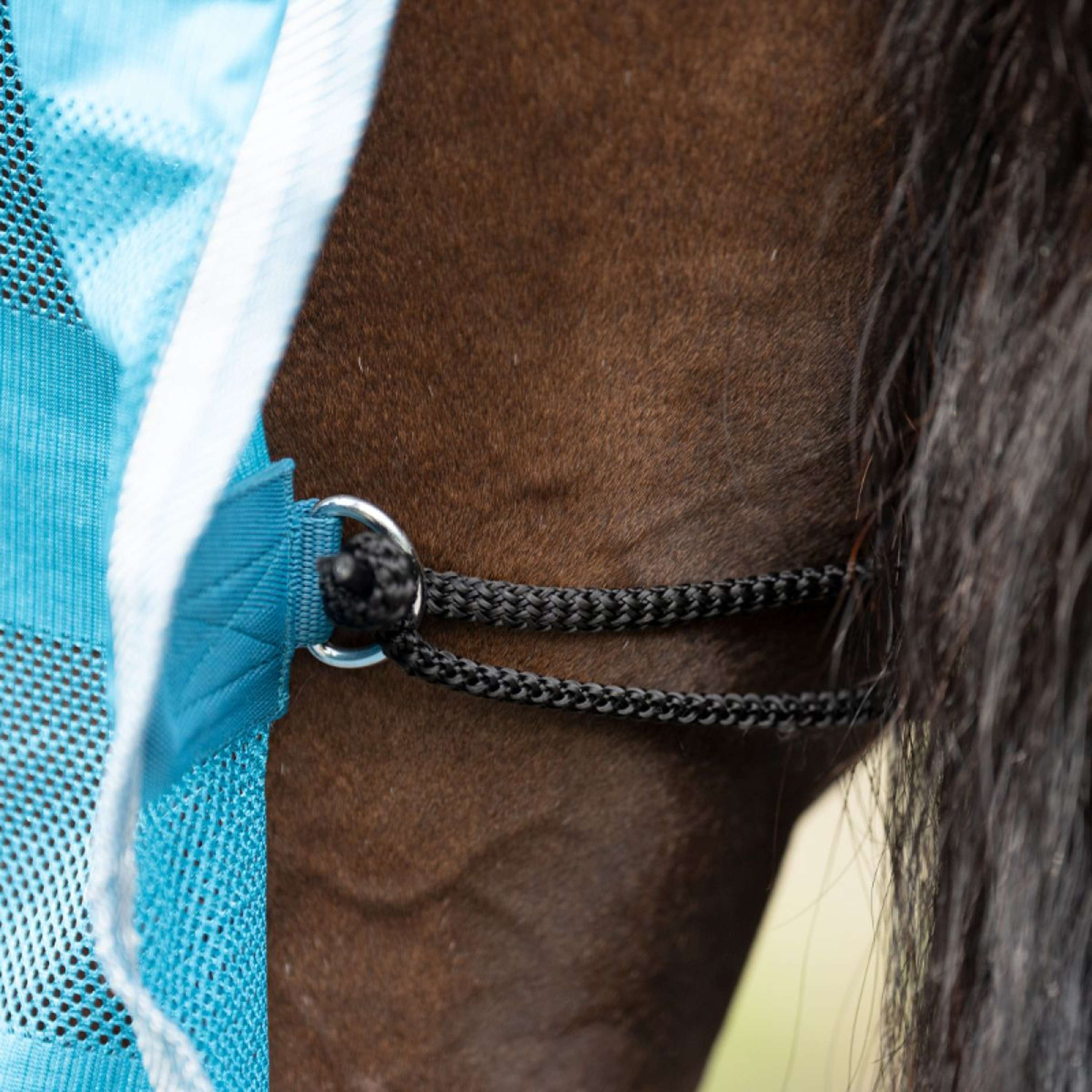 Kavalkade Fly Rug Stripe Petrol