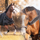 Kavalkade Turnout / Step Mill Rug Halifax 2in1 50g Black