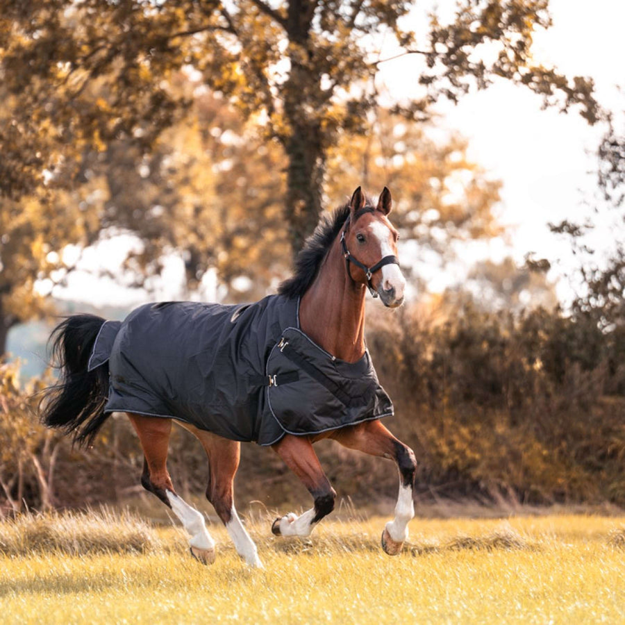 Kavalkade Turnout / Step Mill Rug Halifax 2in1 200g Black