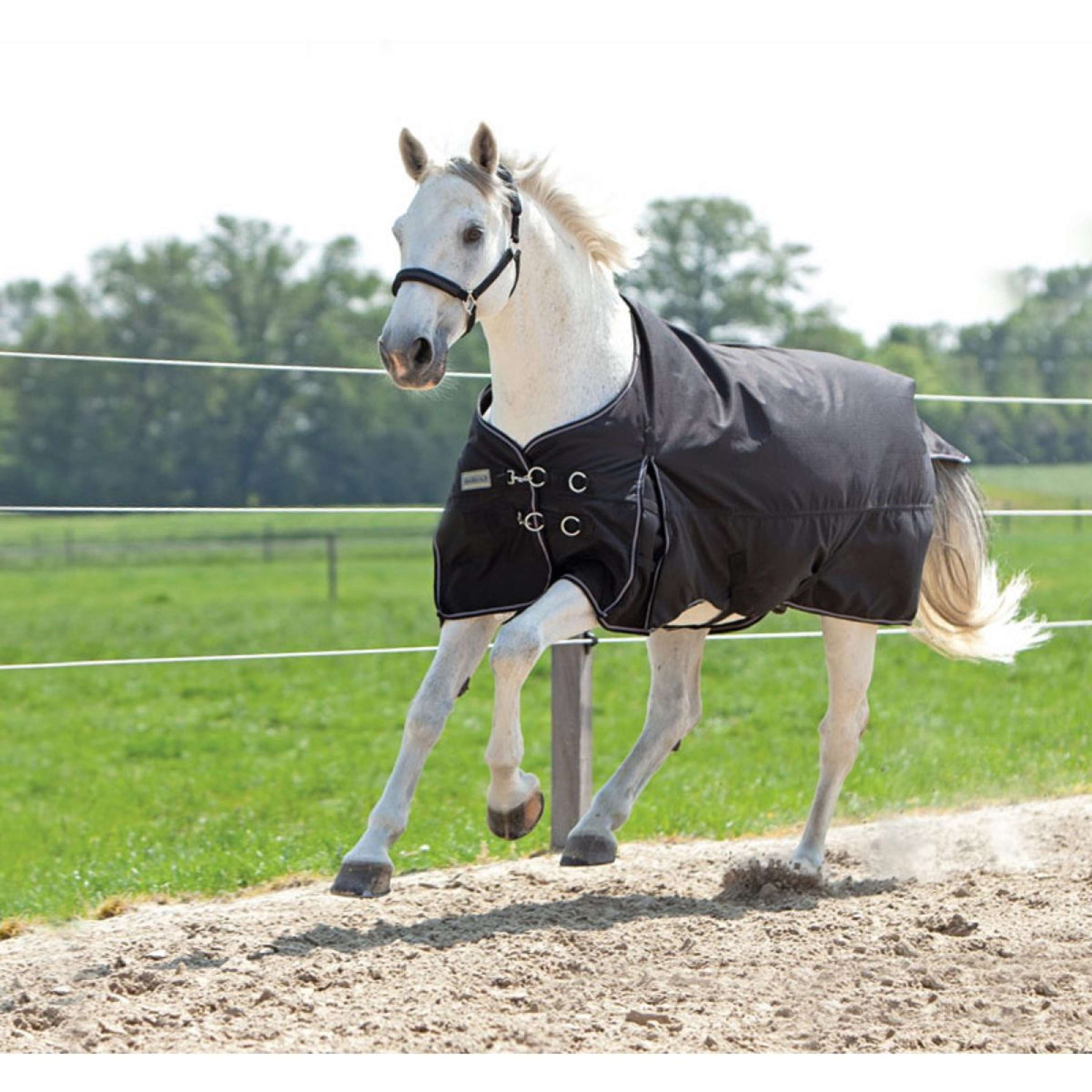 Kavalkade Outdoor Rug Alaska IV 300g Black