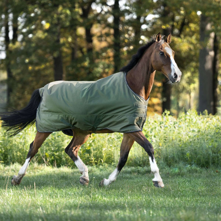 Kavalkade Outdoor Rug Montreal 100g Green