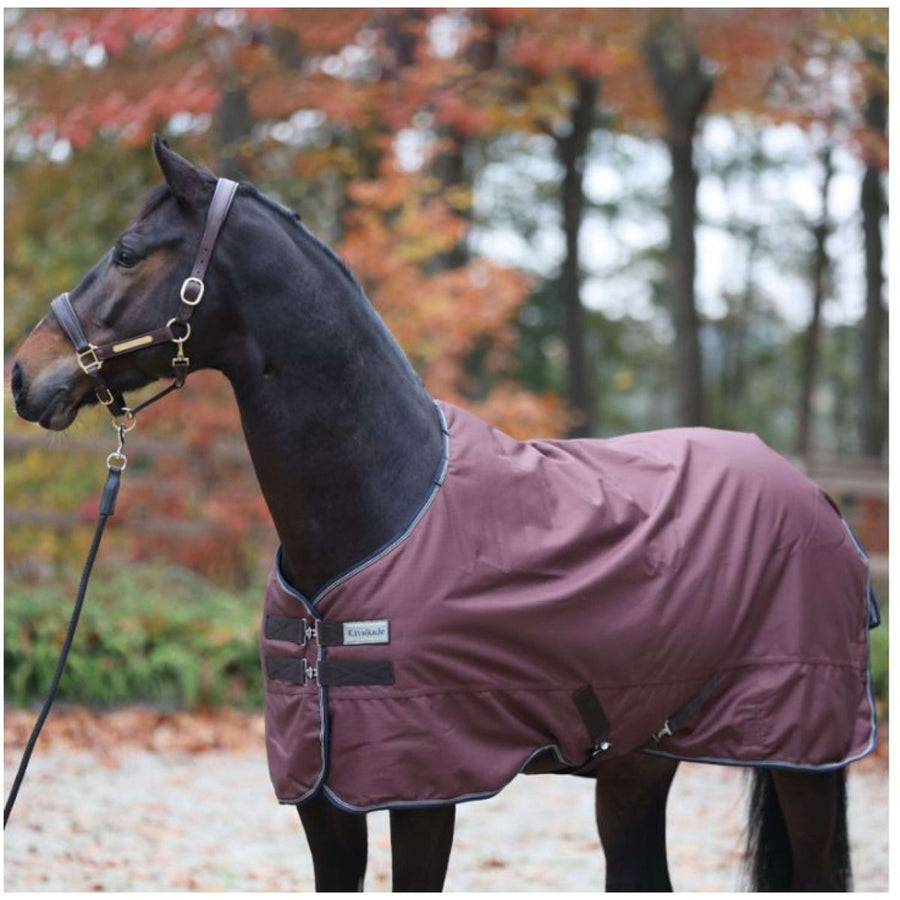 Kavalkade Outdoor Rug Montreal 100g Navy