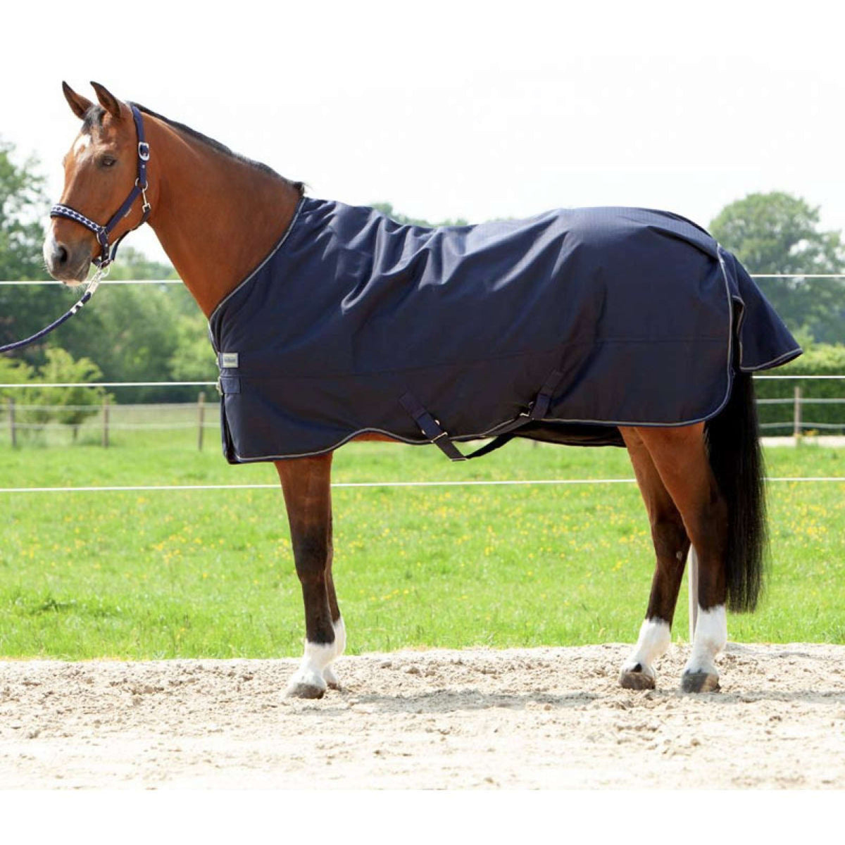 Kavalkade Outdoor Rug Montreal 200g Navy