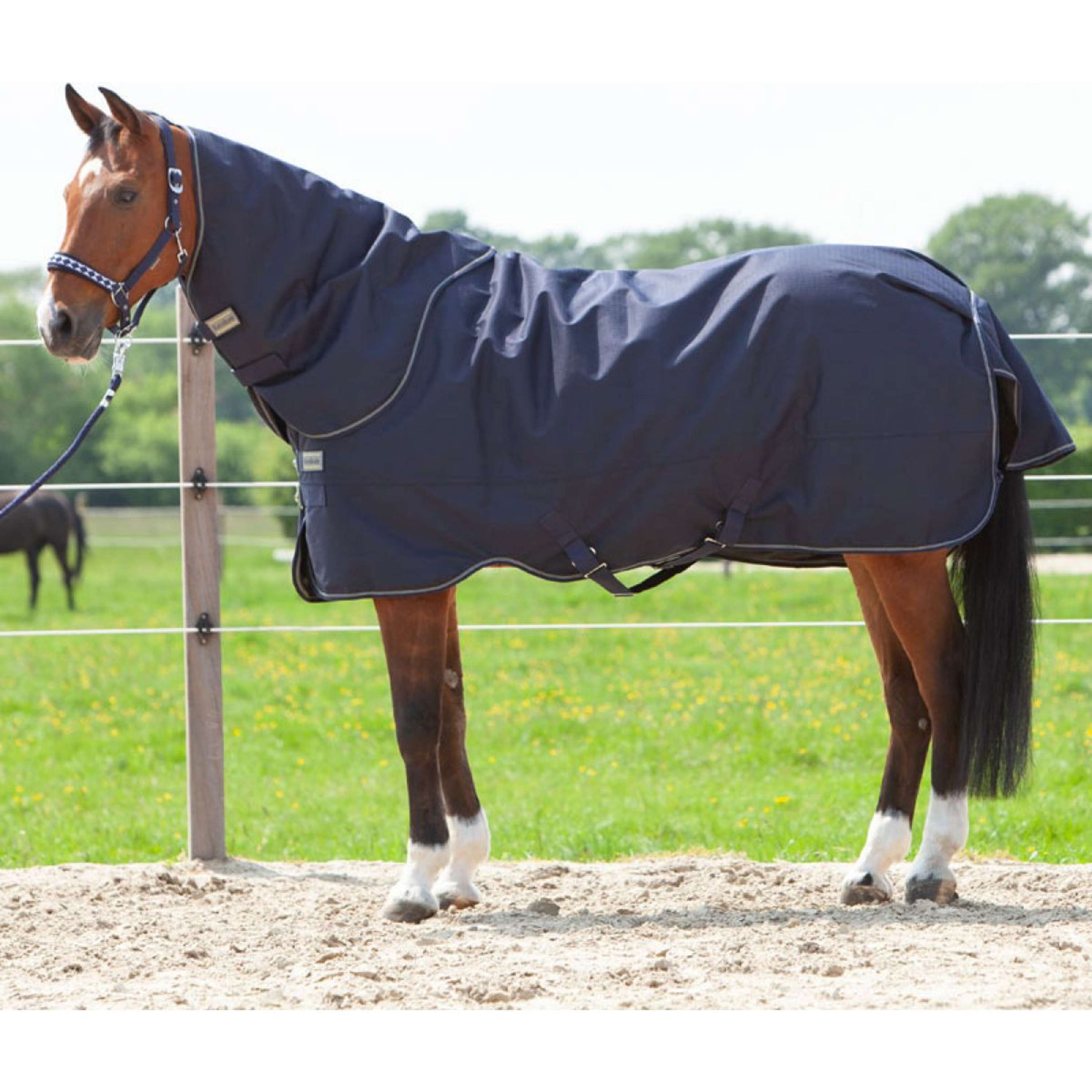 Kavalkade Neck Cover Montreal 100g Navy
