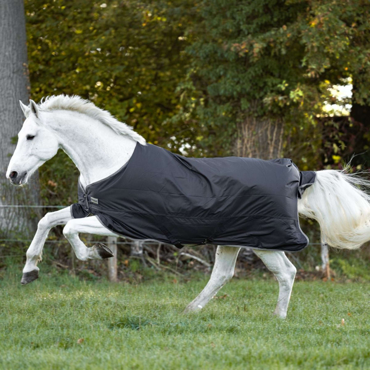 Kavalkade Outdoor Rug Winnipeg 50g Black