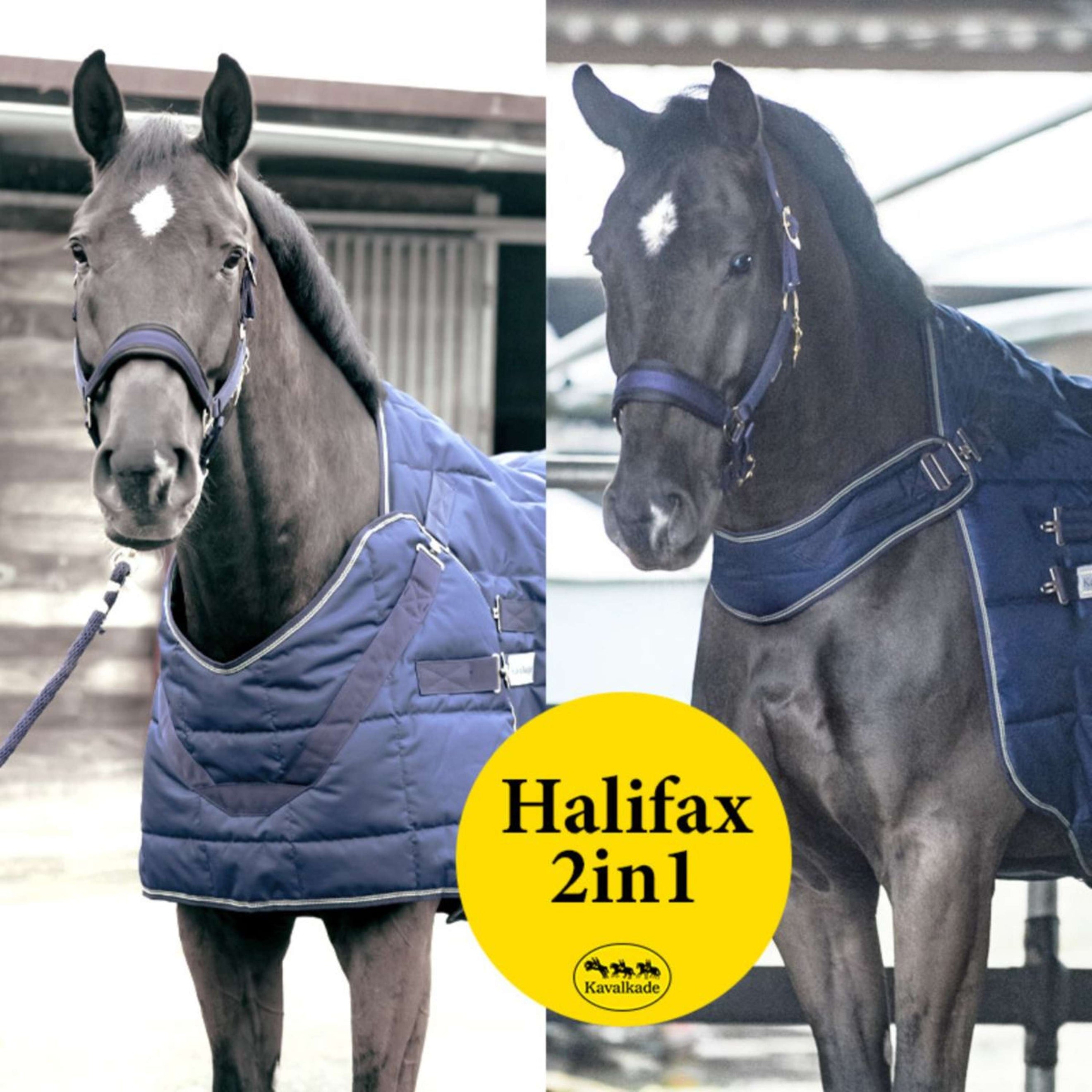 Kavalkade Blanket Halifax 2in1 200g Navy