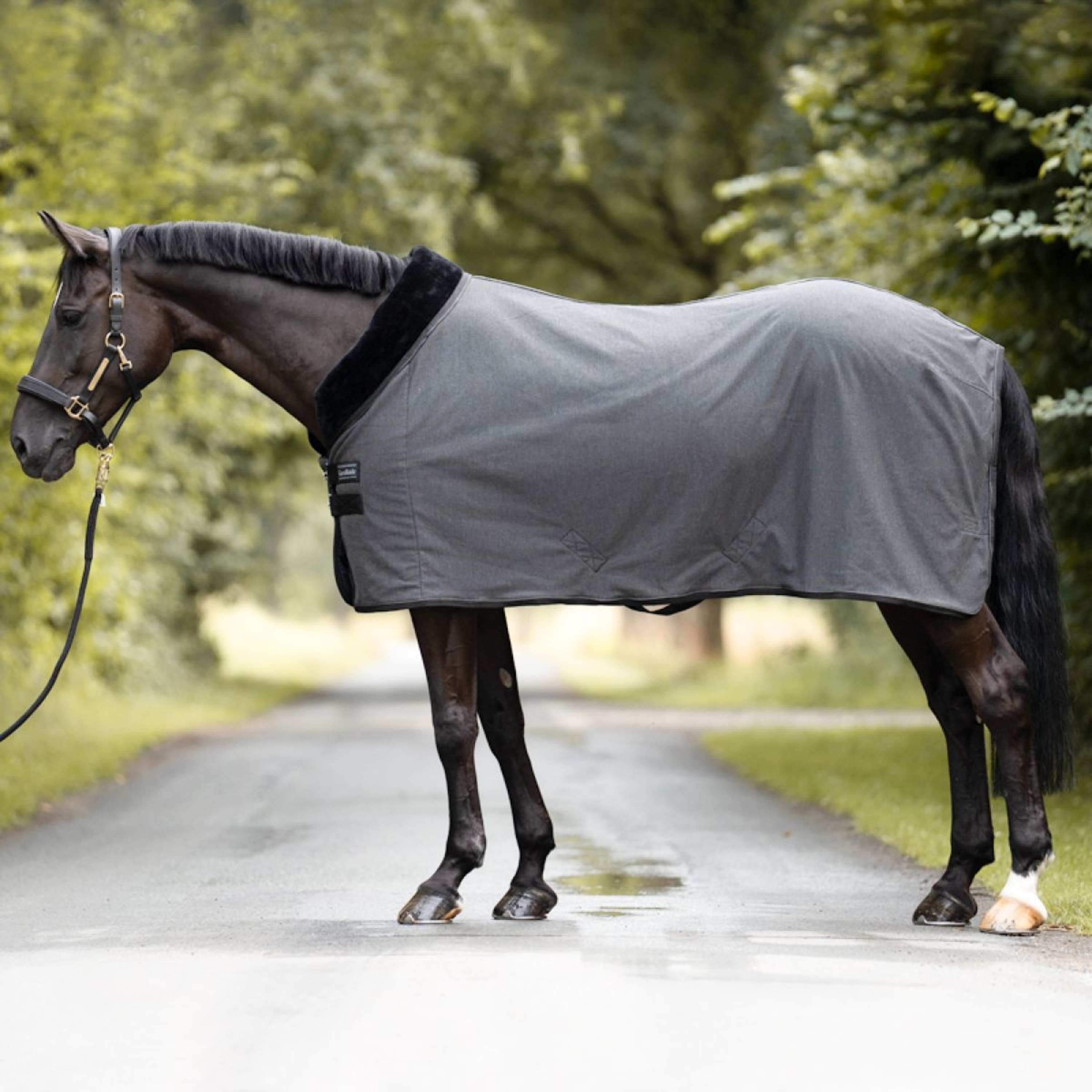 Kavalkade Cooler Elegance Black/Grey