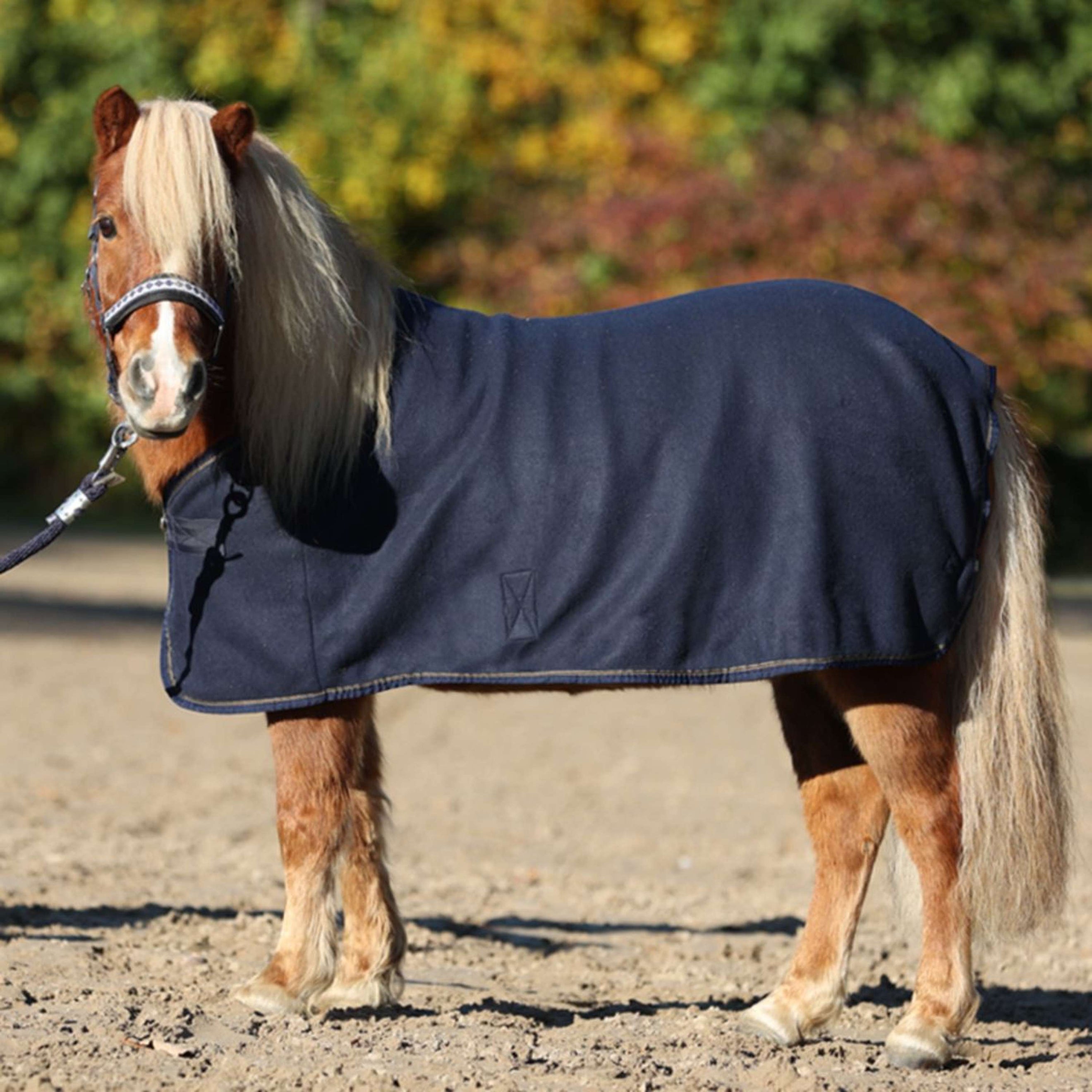 Kavalkade Fleece Rug Shetty-Ecoline Navy