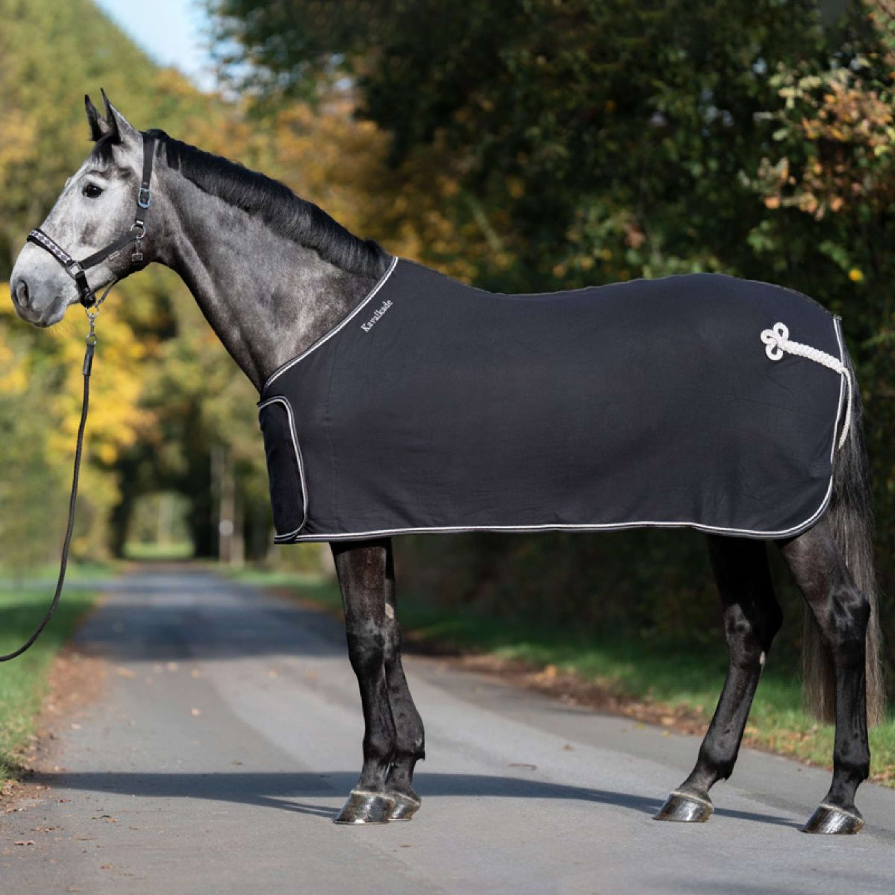 Kavalkade Cooler Removable Chest Flap Black/White