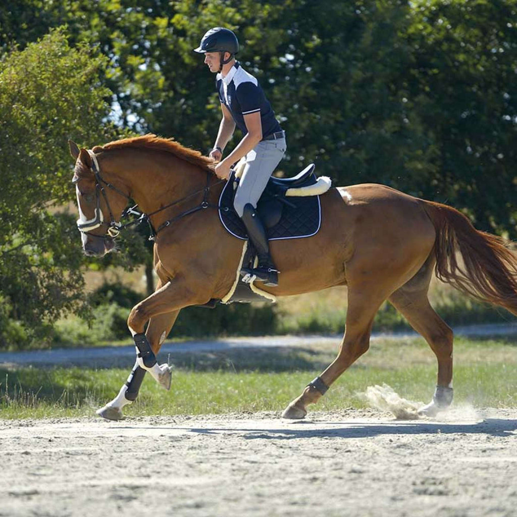 Kavalkade Riding Boots Maximus Black